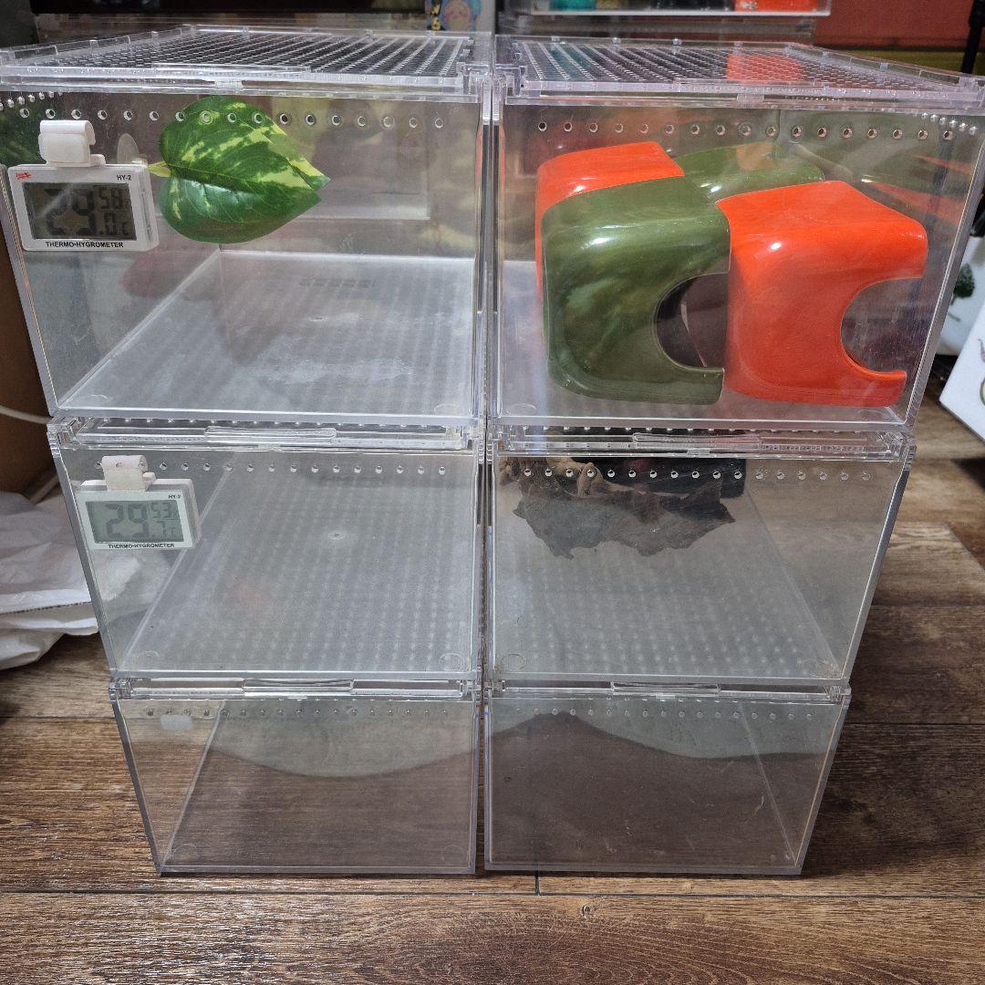 中古レプタイルボックス6個セット