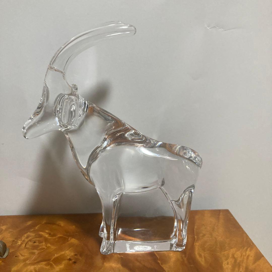 バカラカモシカです