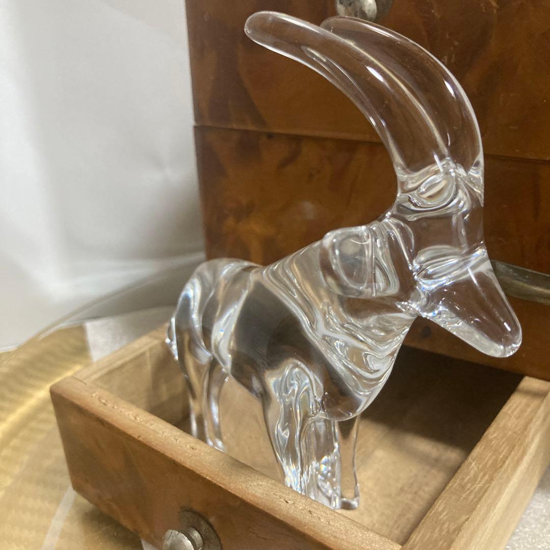 バカラカモシカです