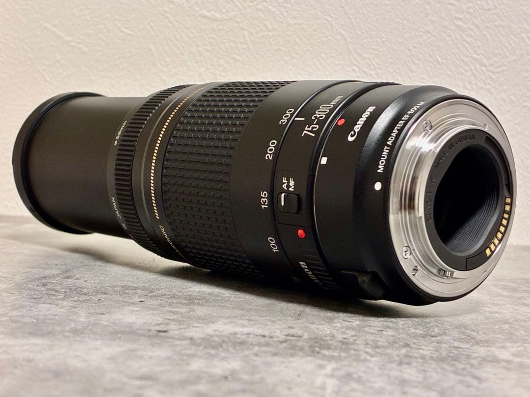 ⭐️美品⭐️Canon EFS 75-300 II & EF-EOS M アダプター
