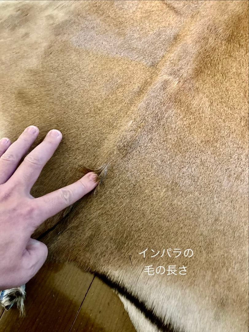 ラグ・カーペット si bubu