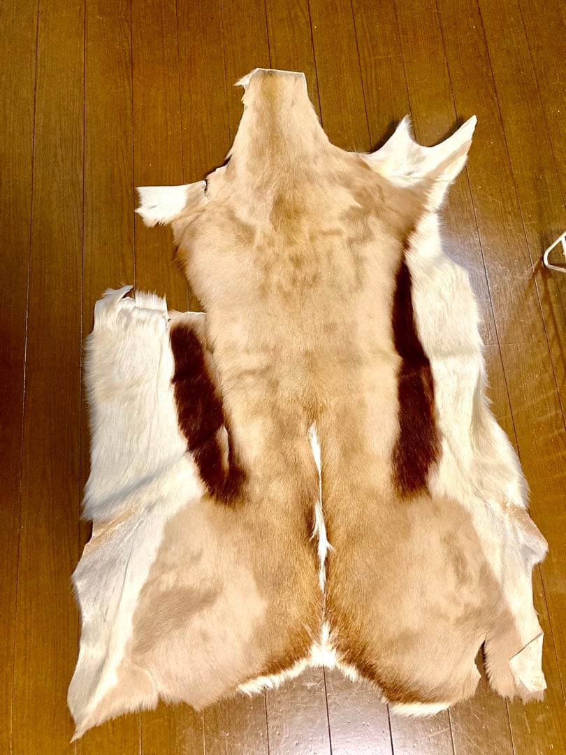 ラグ・カーペット si bubu