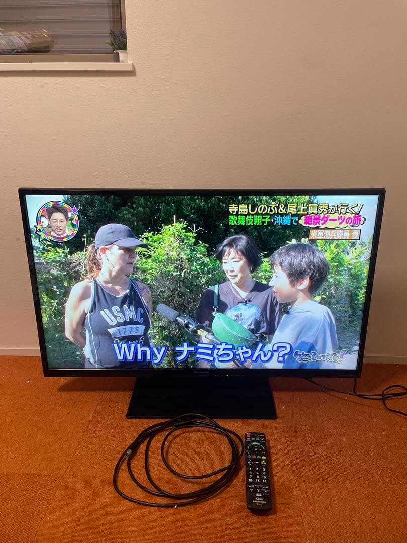 Panasonic 39V型 液晶テレビ 外付けHDD対応 TH-L39C60