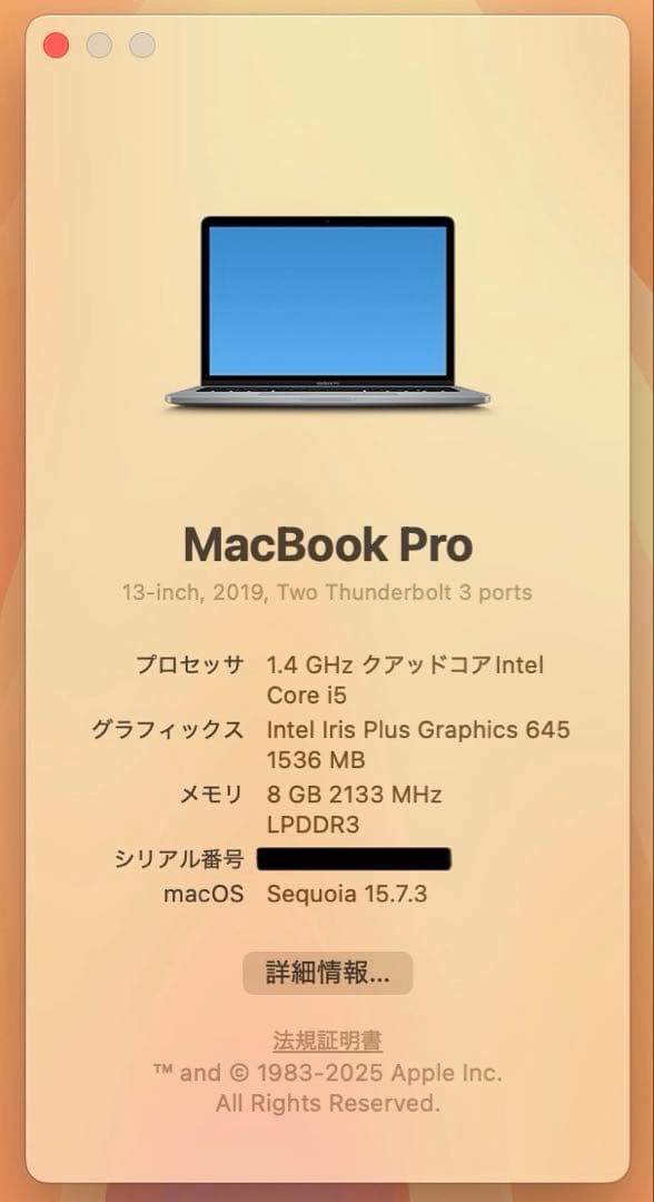 【即日発送】Macbook PRO 2019 スペースグレー
