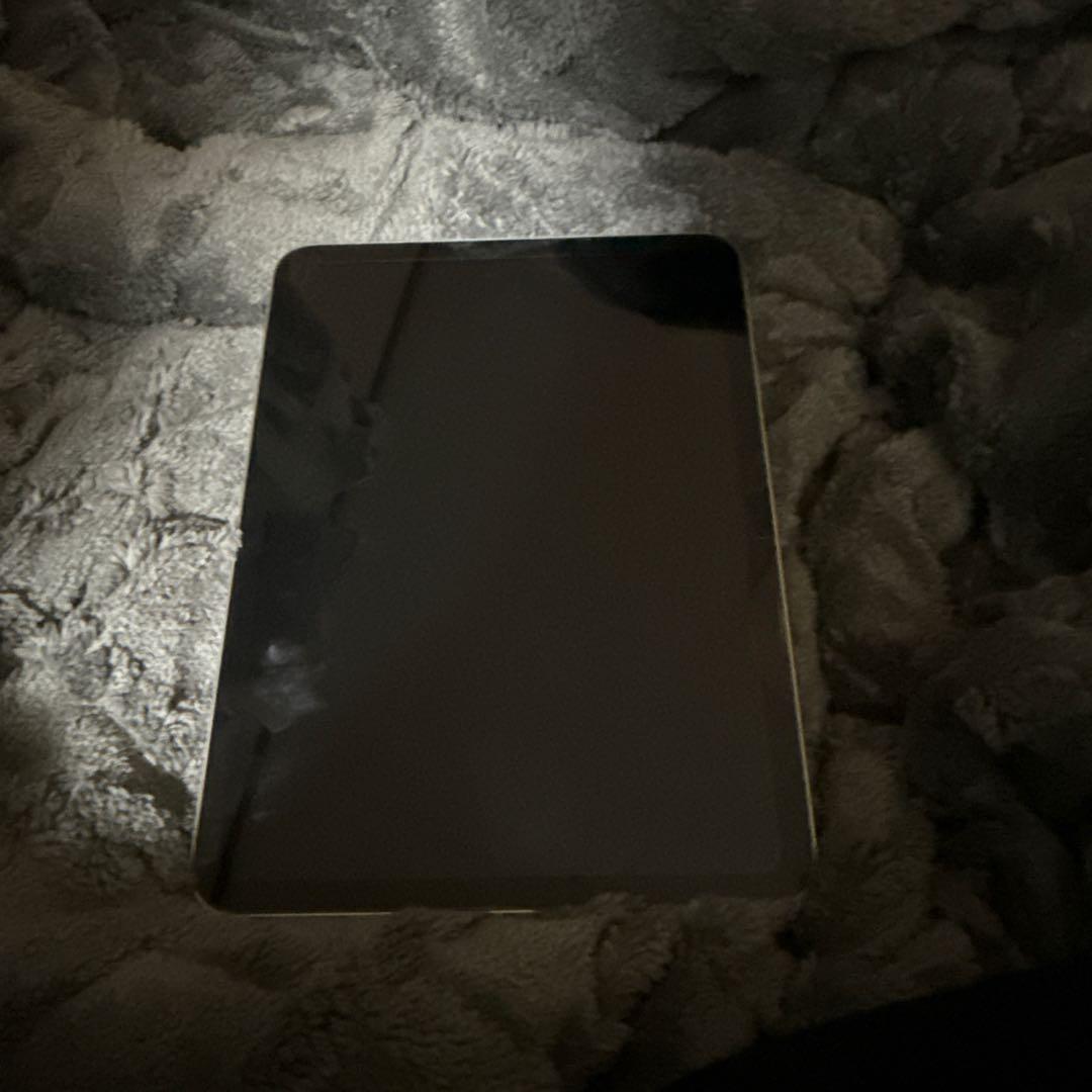 Apple iPad シルバー 本体 箱付き ケース付き フィルム付き