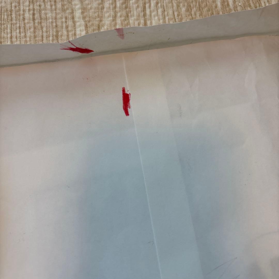 2025年　5年生　日能研　公開模試　前期後期　9回分