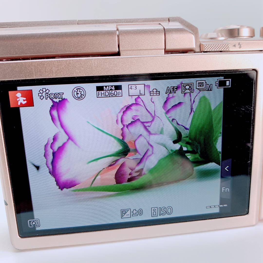 Panasonic ミラーレス一眼　LUMIX DC-GF10W C0165