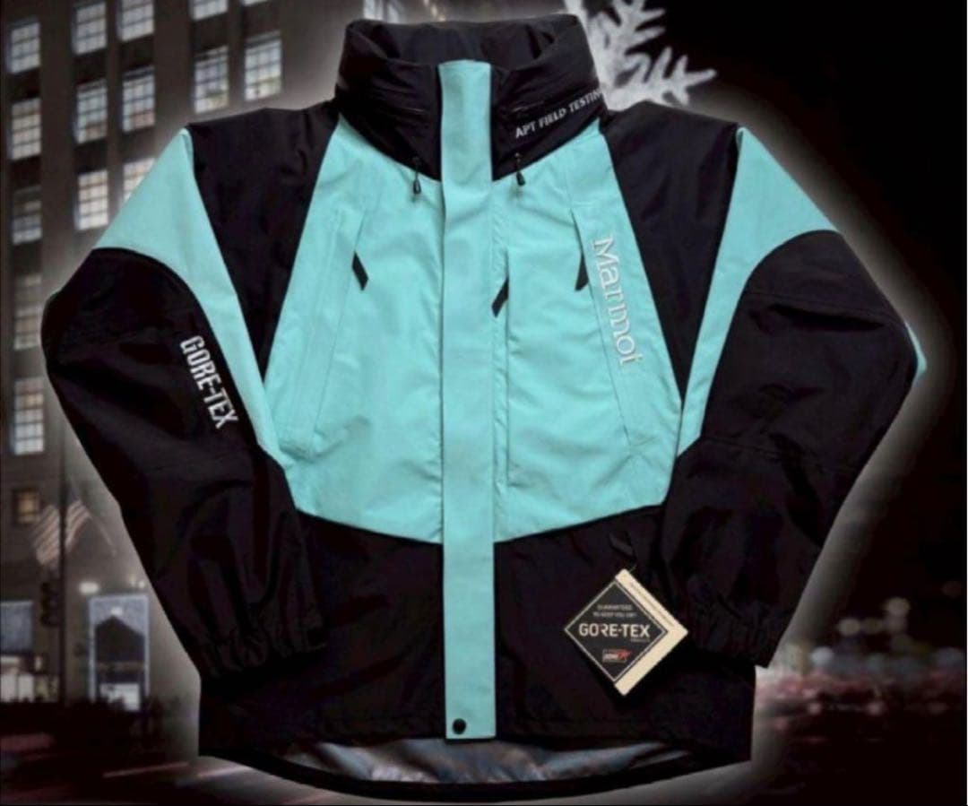 ジャケット・アウター STABRIDGE Marmot Gore-Tex 3L Alpinist M