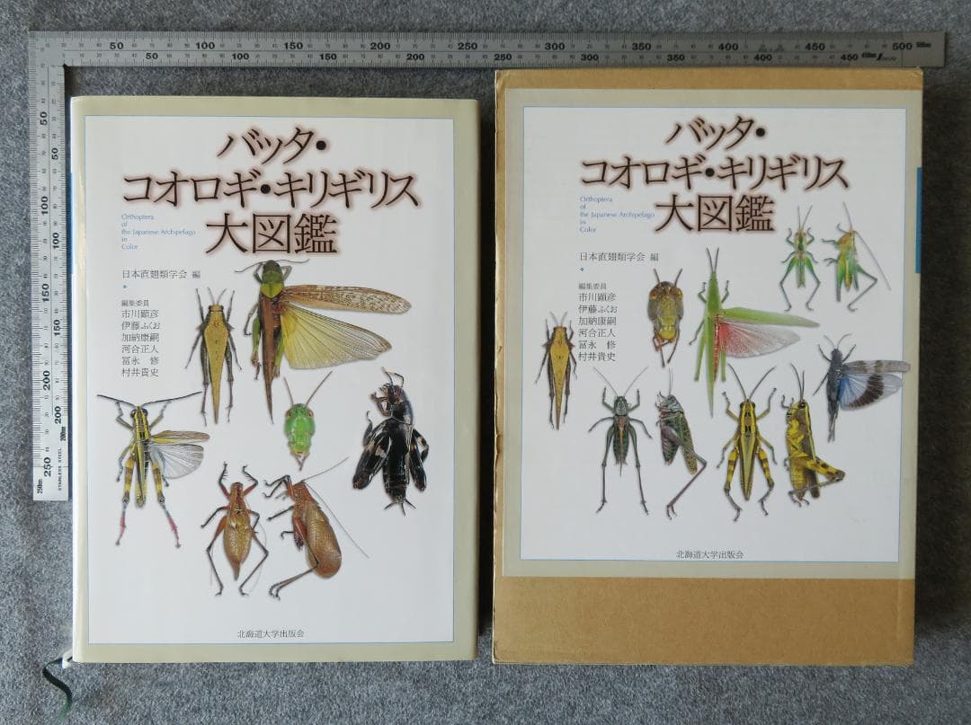 バッタ・コオロギ・キリギリス大図鑑