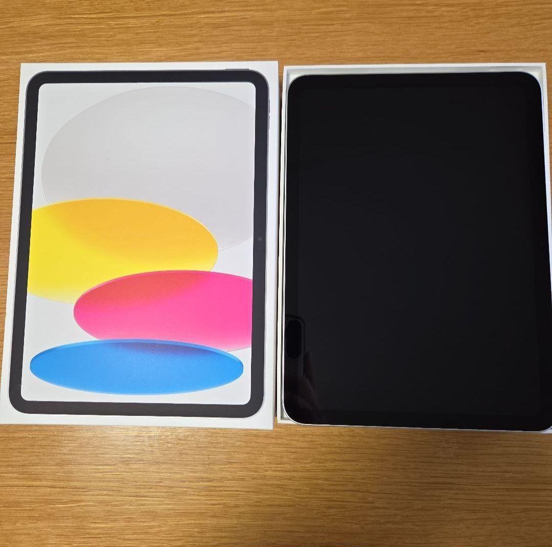 Apple iPad (A16) シルバー 本体
