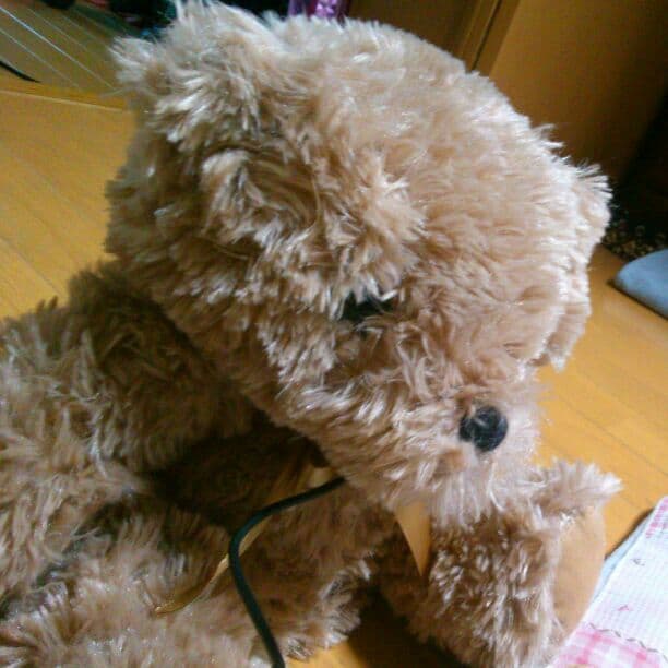 くまさんのスピーカー