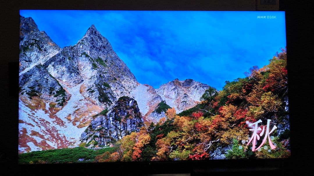 シャープ　8Kテレビ　8T-C65DX1　4ｋ8ｋ録画用HDD機器セット