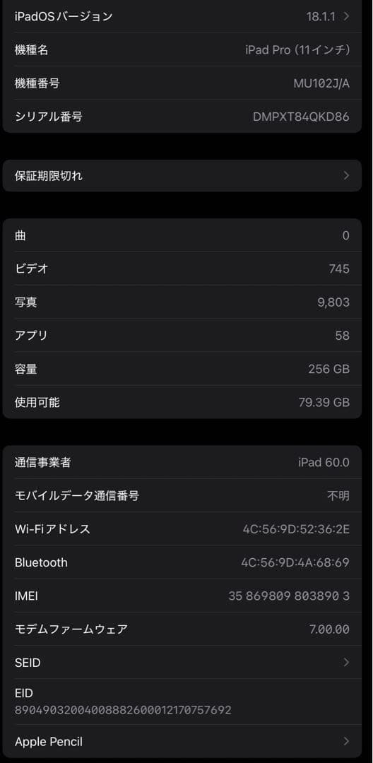 iPad Pro 256GB セルラー + Apple Pencil 2