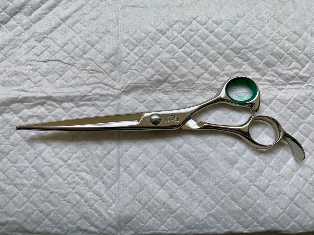 光　シザー　レイコスモス