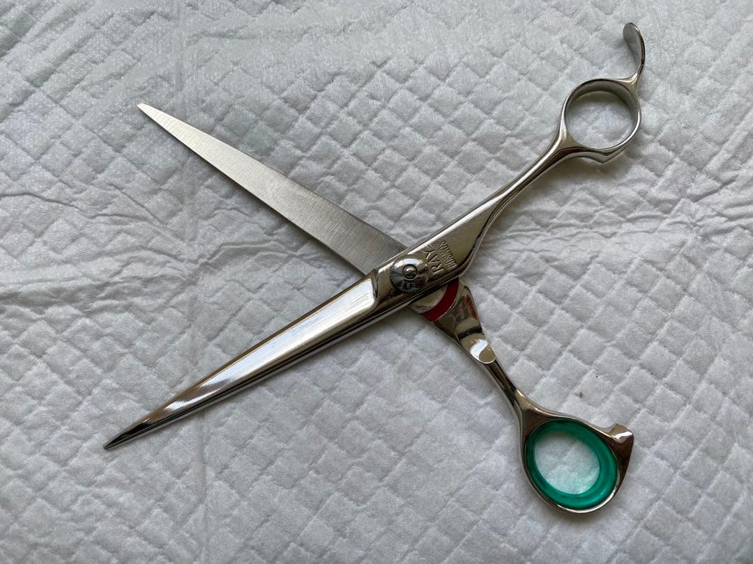 光　シザー　レイコスモス