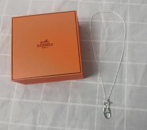 美品シェーヌダンクル ネックレス アミュレット ペンダント