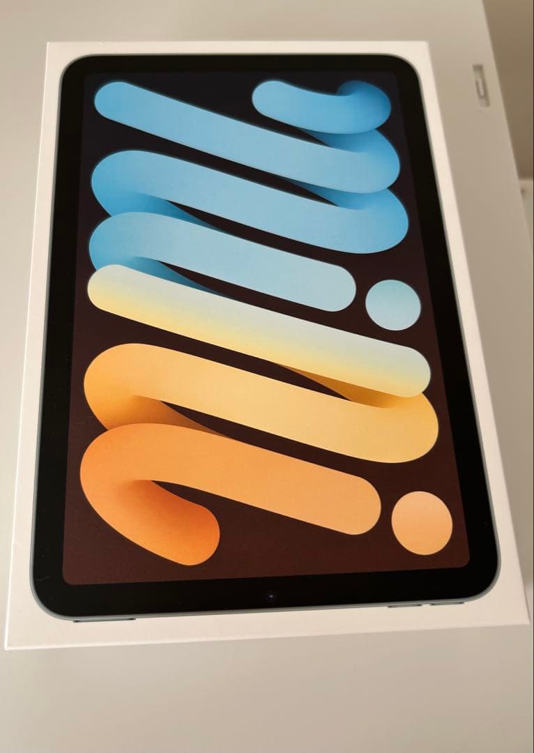 iPadminiA17pro(第７世代)Wi-Fi 256Gバッテリー100