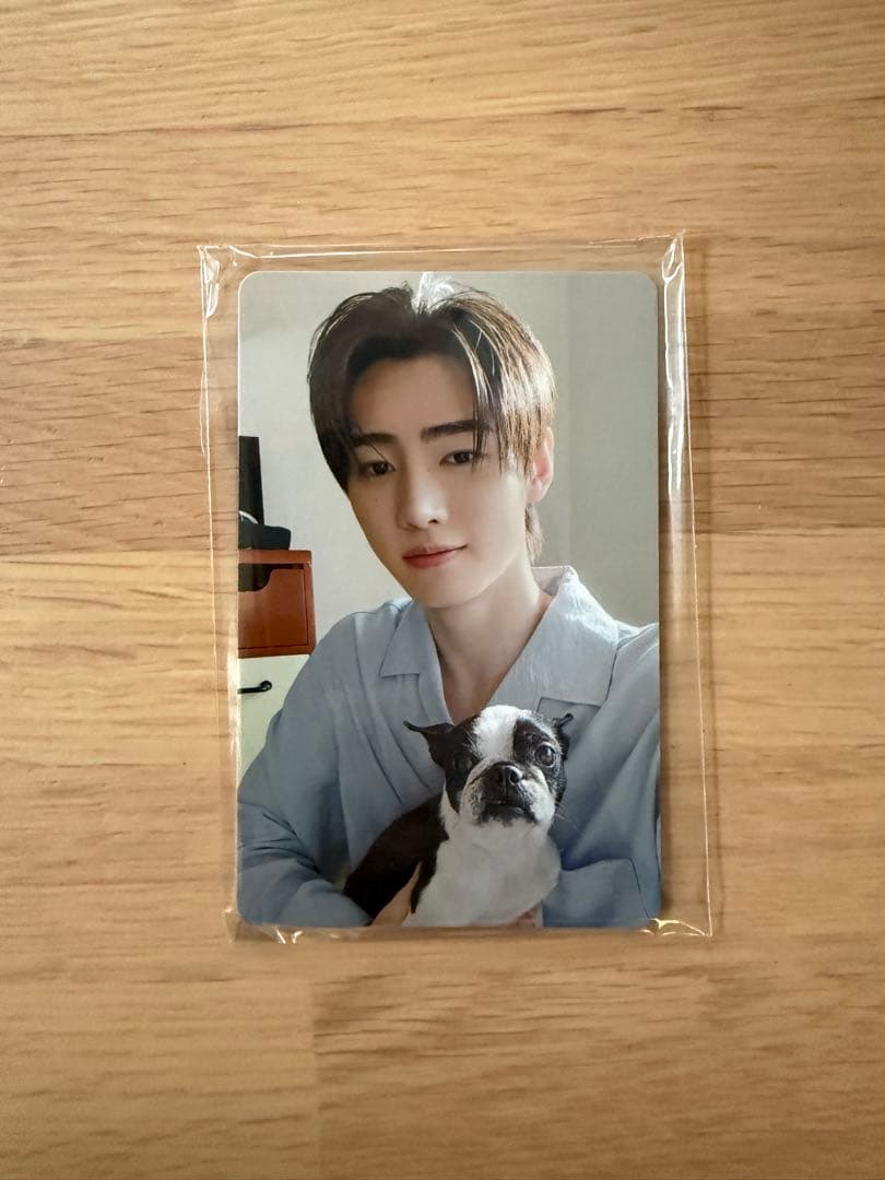 ENHYPENアンケートトレカ2025 ソンフン