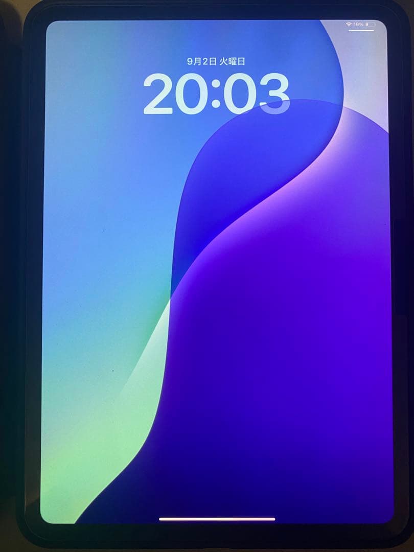 iPad pro M4 256GB WiFiモデル　おまけ付き