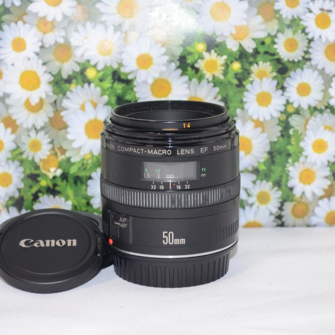 キャノン❤Canon EF 50mm F2.5❤撮影の幅が広がる単焦点レンズ❤