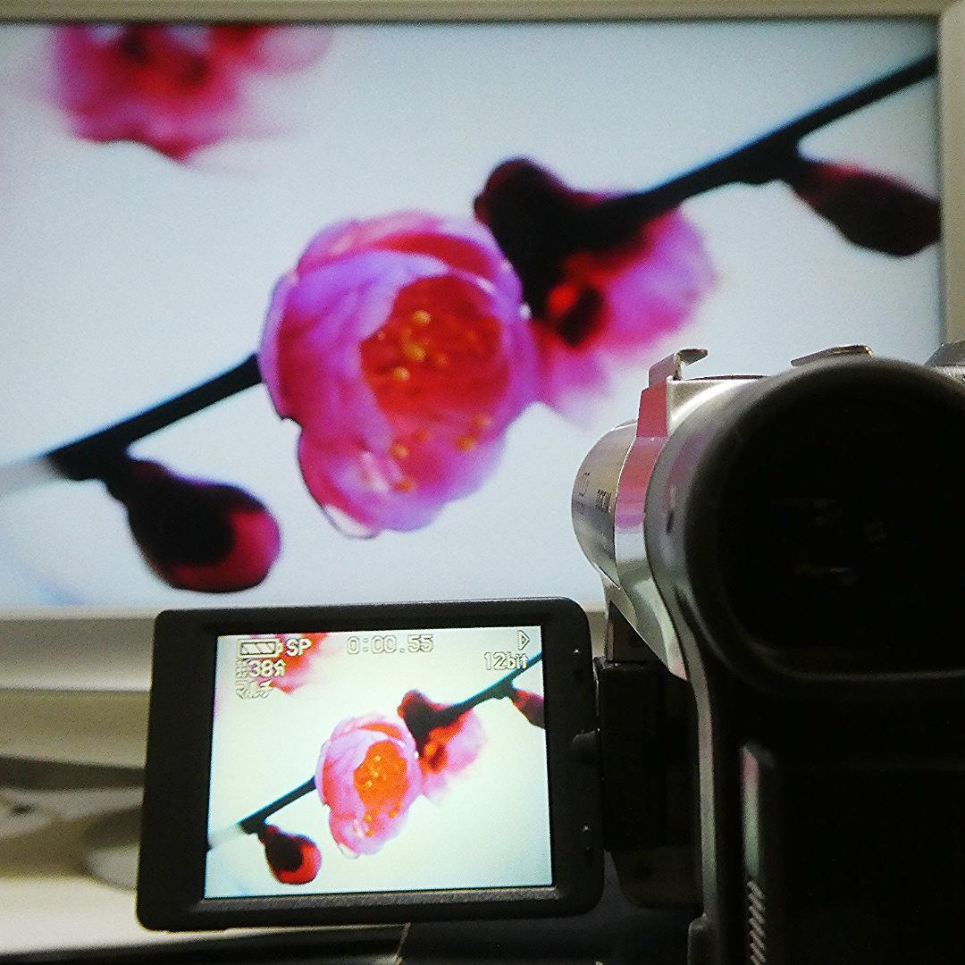 動作良好 パナソニック NV-GS50　MiniDV ビデオ ダビングに最適 !