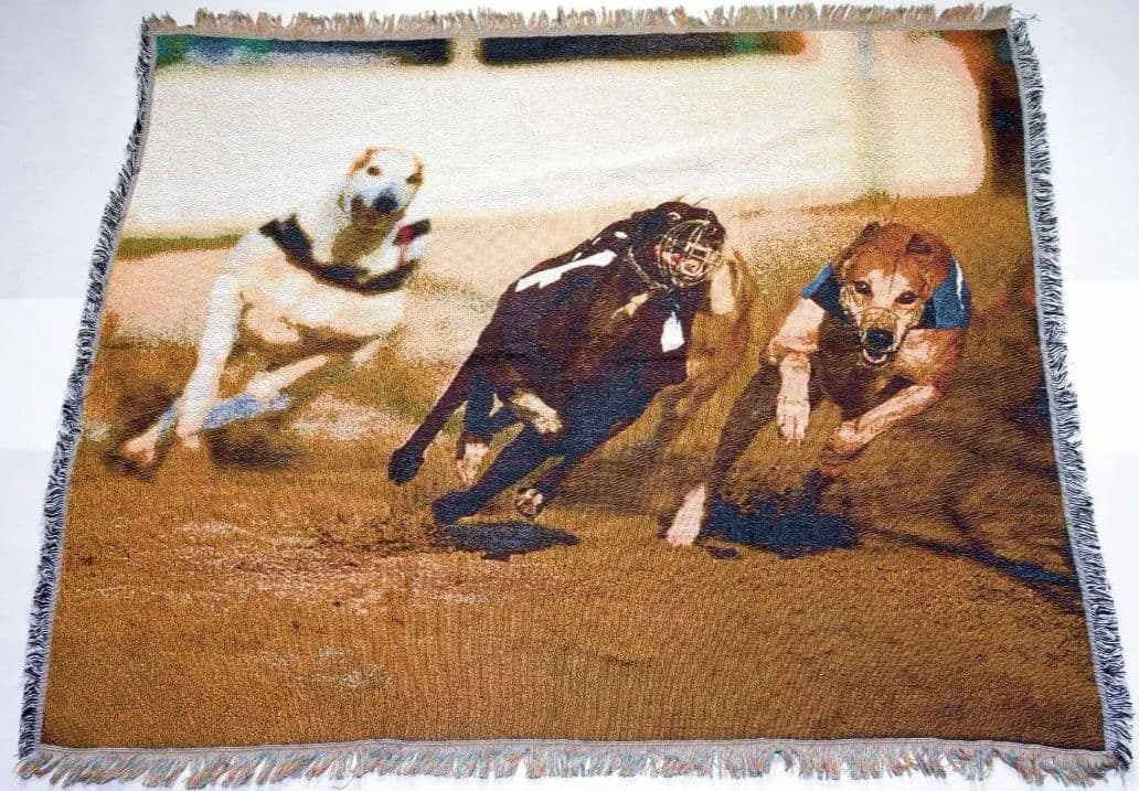 新品犬のレース グラフィックラグ 150cm x 125cm