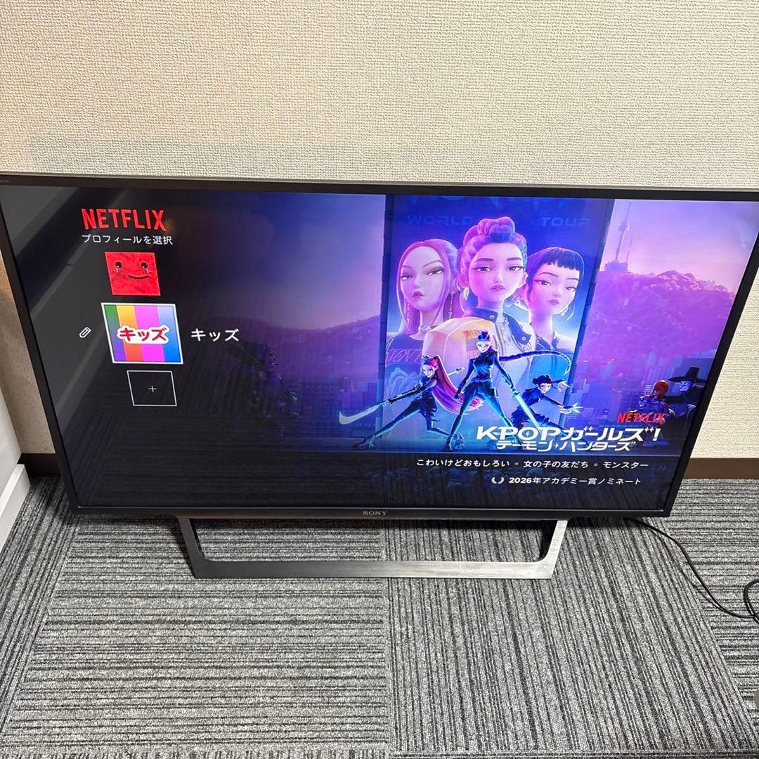 SONY BRAVIA 液晶テレビ43インチ