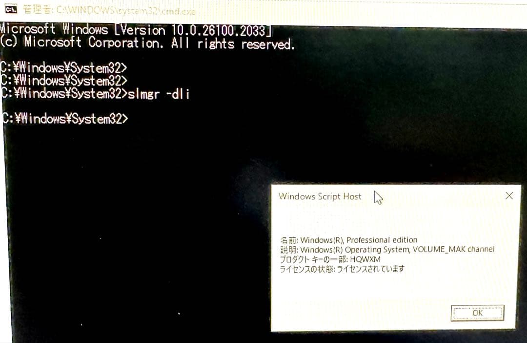 ⚠️注意:OSはLinuxです⚠️ACEMAGICミニPC Intel N100