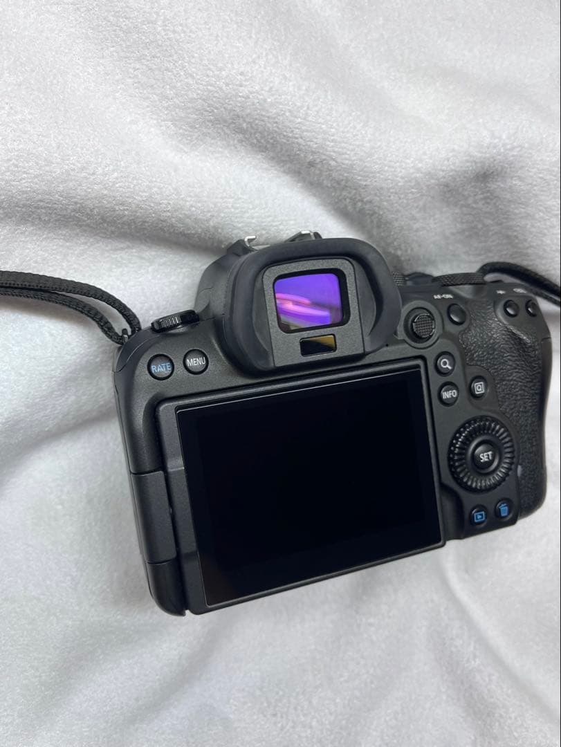 Canon EOS R6 + レンズ Canon RF 24-105mm STM