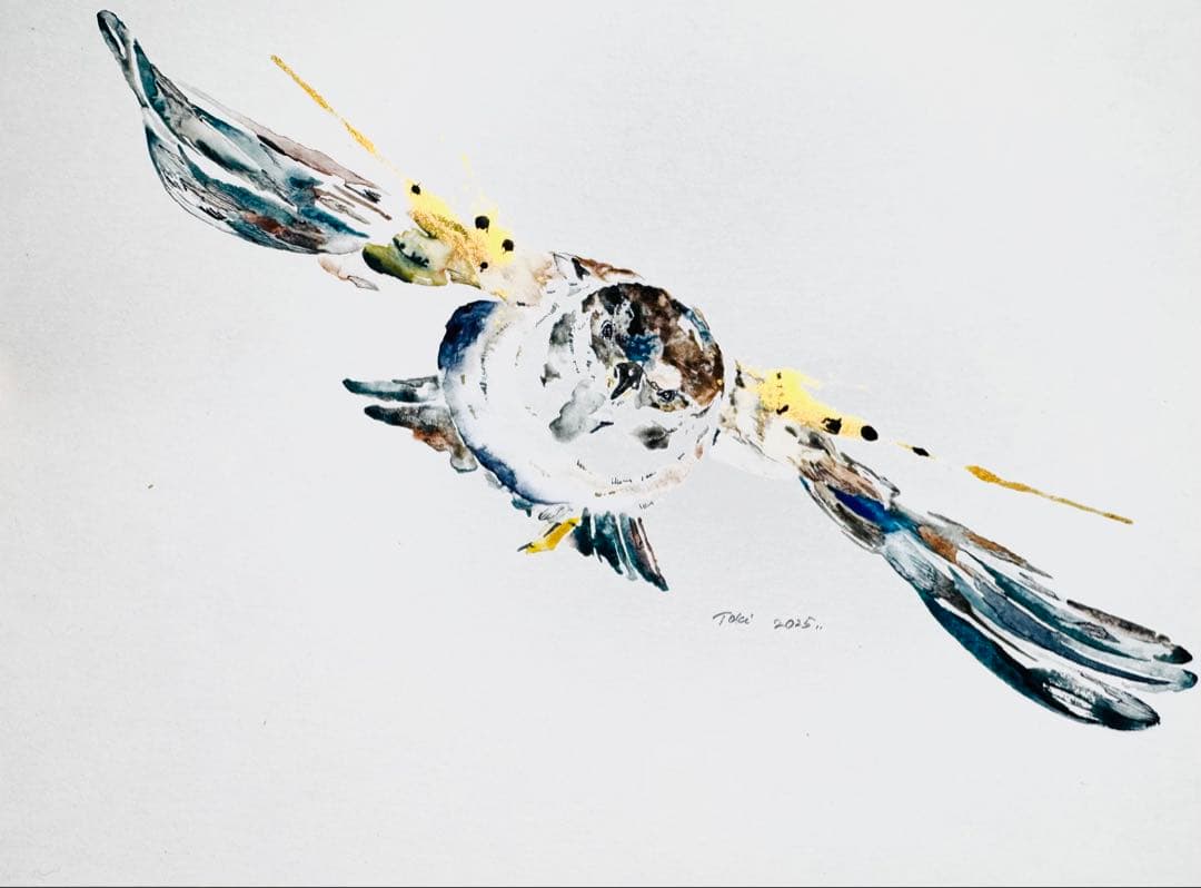 雀 スズメ 原画 額装済