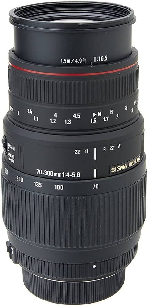 SIGMA 70-300mm F4-5.6 DG MACRO ズームレンズ