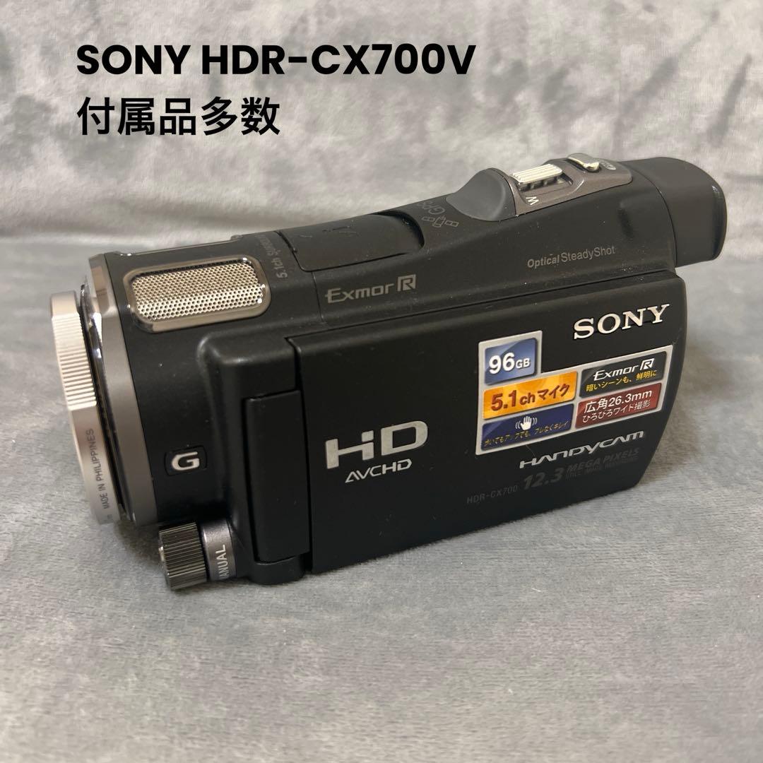 ビデオカメラ SONY HDR-CX700V