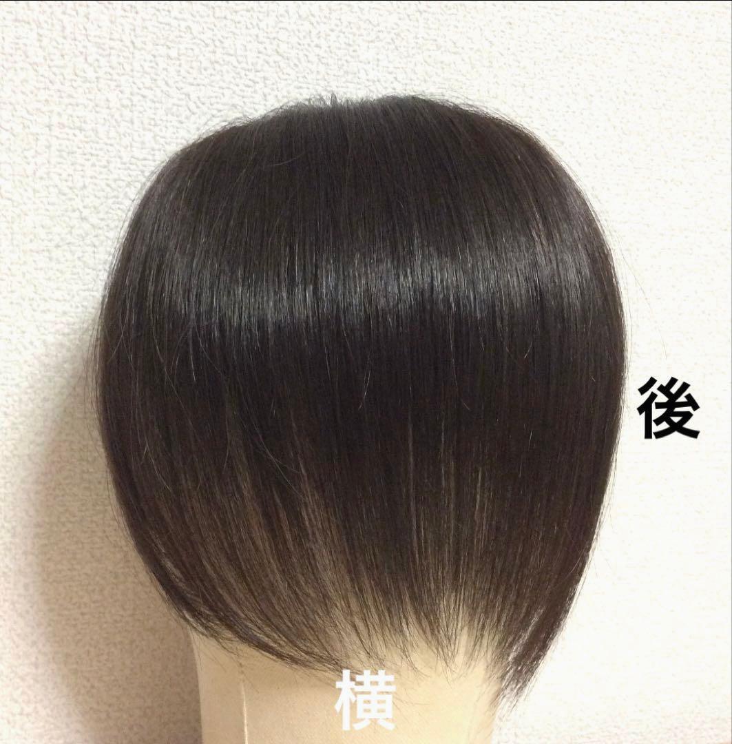 【たぬきケーキ】ショート/ブラック(=ナチュラルブラック)