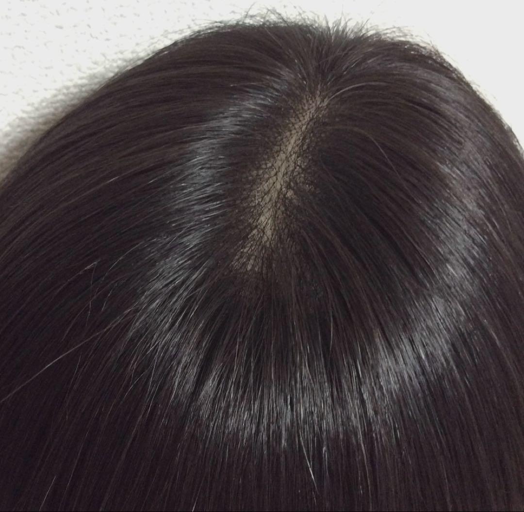 【たぬきケーキ】ショート/ブラック(=ナチュラルブラック)