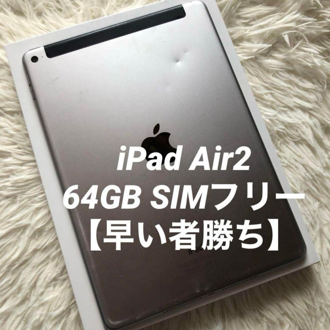 【完動品】iPad Air2 64GB cellular 【すぐ発送】