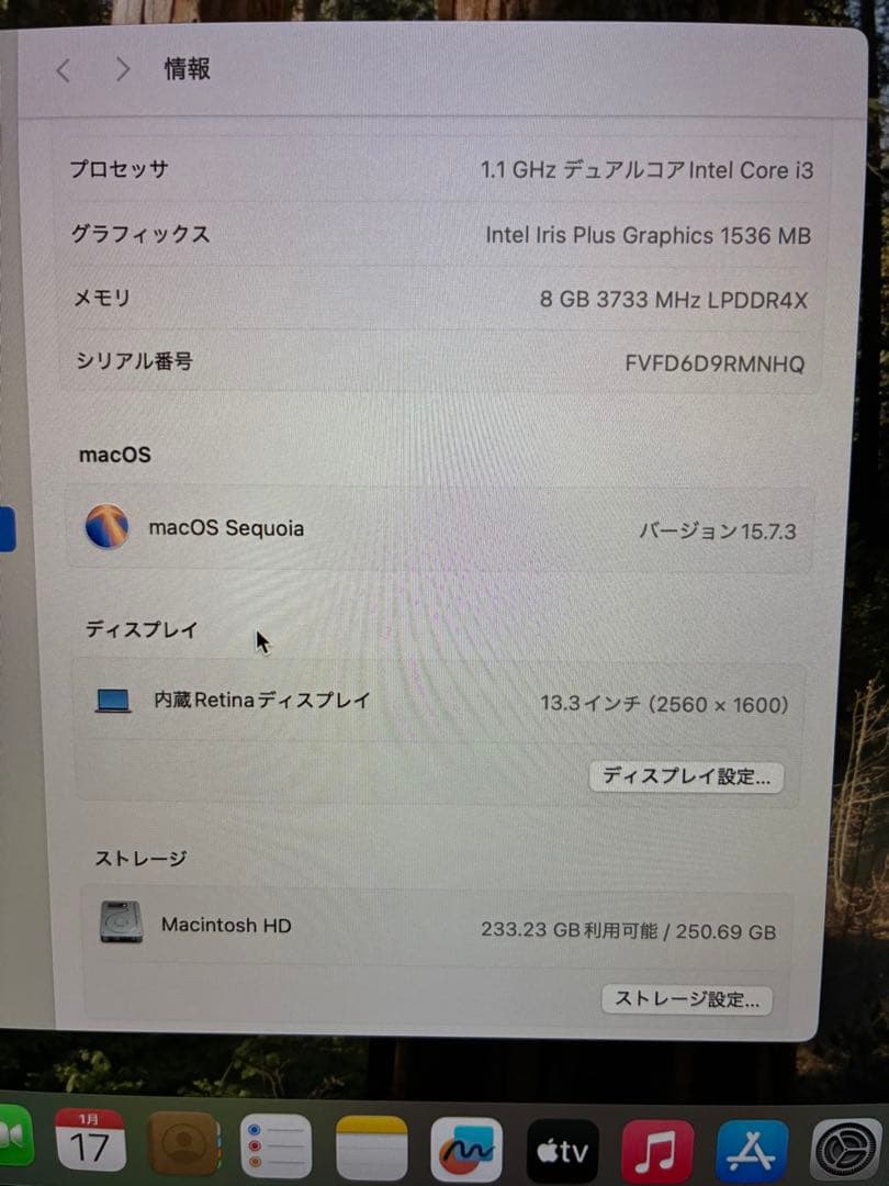 MacBook本体 Apple MacBook Air (Intel Core i3)