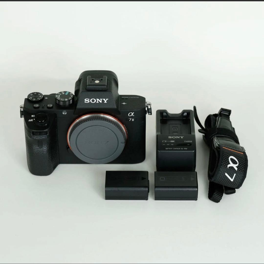 【極美品】シャッター数 981回 | SONY α7 II | ミラーレス一眼