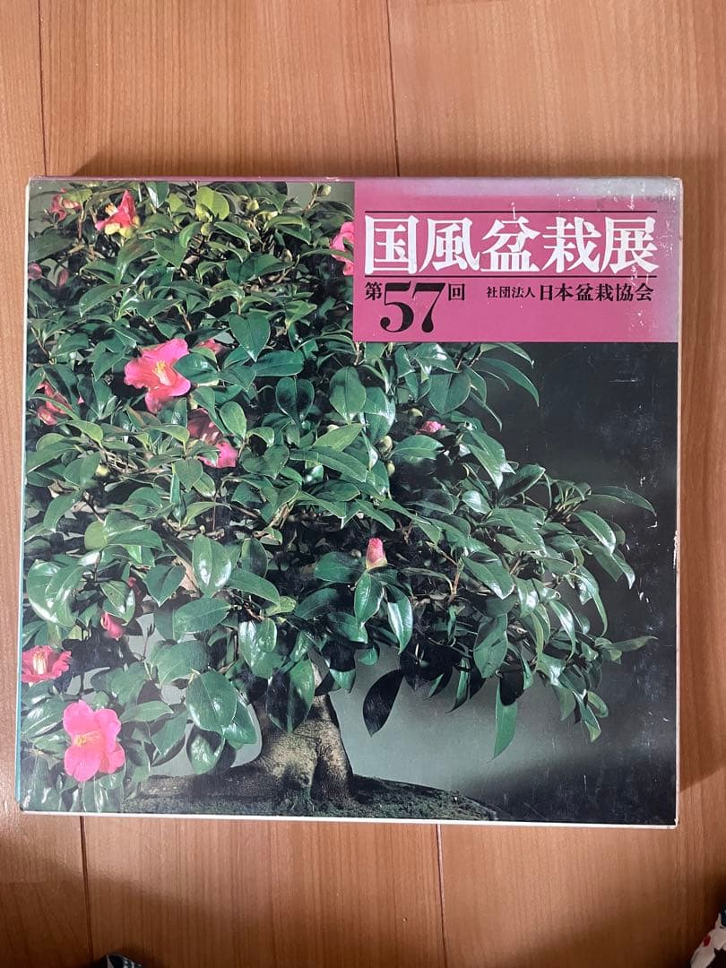 国風盆栽展 51-61 巻セット