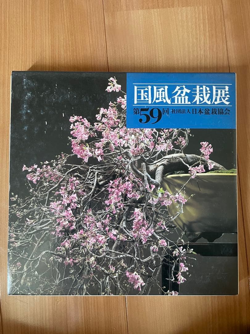 国風盆栽展 51-61 巻セット