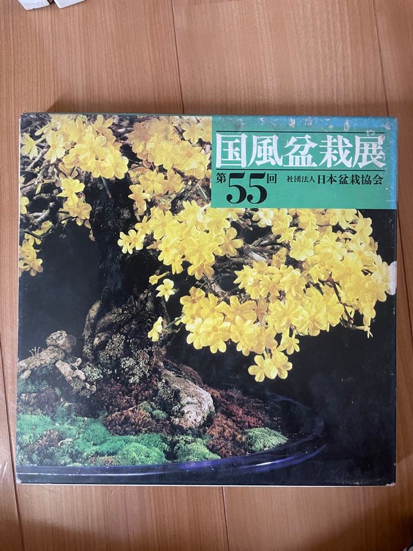国風盆栽展 51-61 巻セット