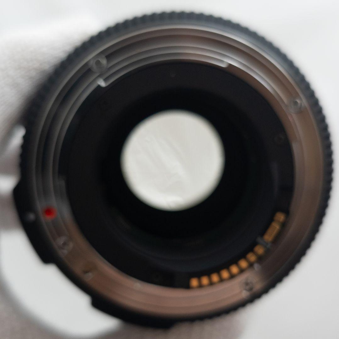 SIGMA 17-50mm F2.8 OS HSM EF用 AF不良