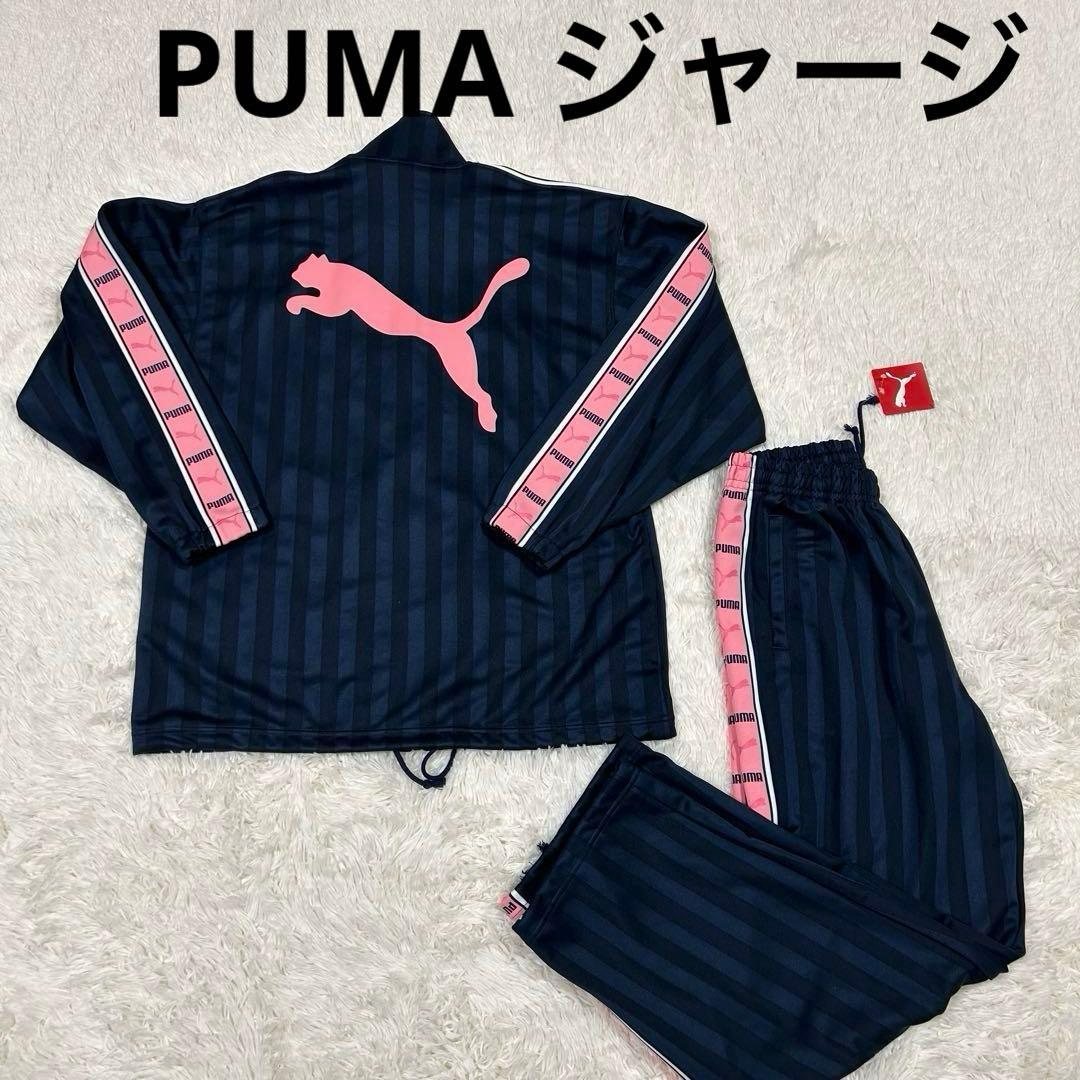 希少 PUMA ジャージ 上下 セットアップ S-M ピンク プージャ Y2K