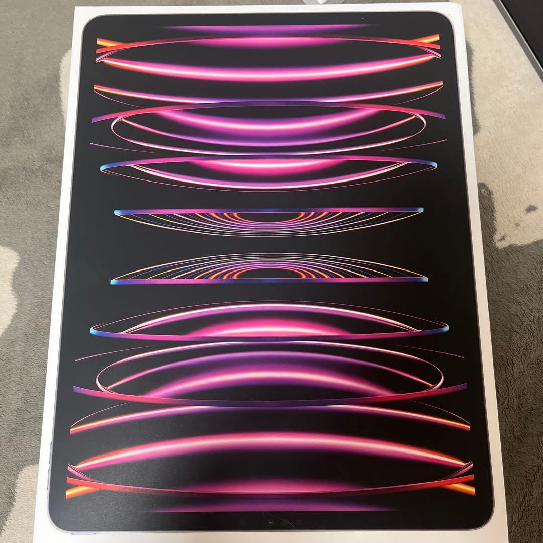 iPad Pro代6世代256G