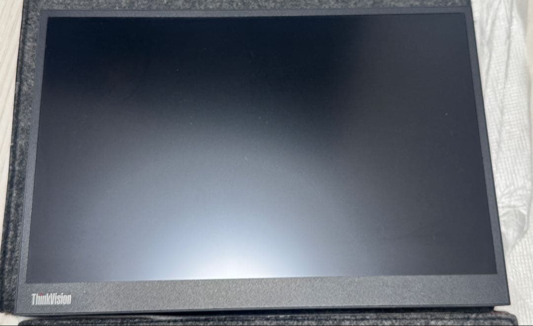 LenovoThinkVision M14d 2台セット