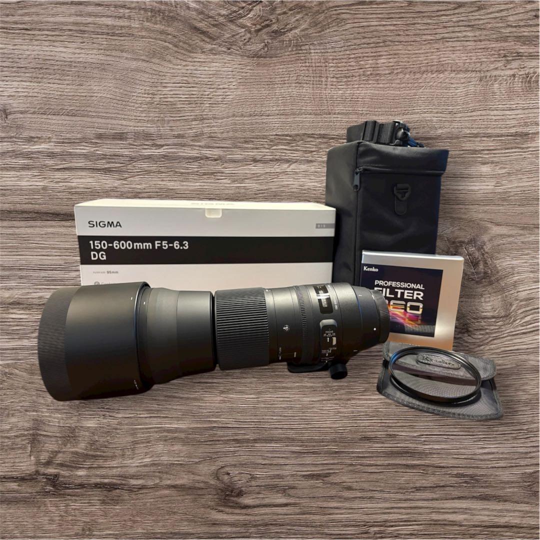 SIGMA 150-600mm F5-6.3 DG Canon EF用