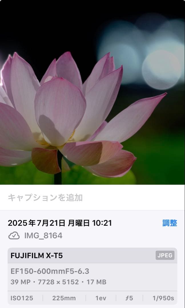 SIGMA 150-600mm F5-6.3 DG Canon EF用