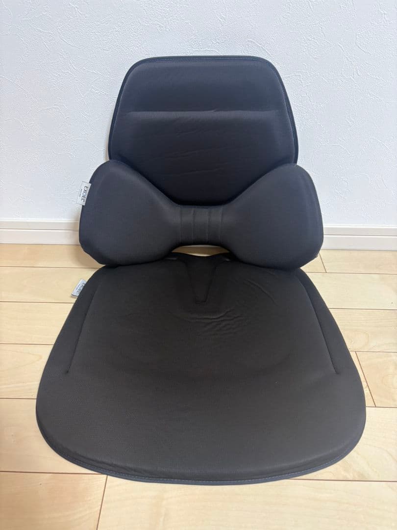 EXGEL ハグドライブ クッション 車用