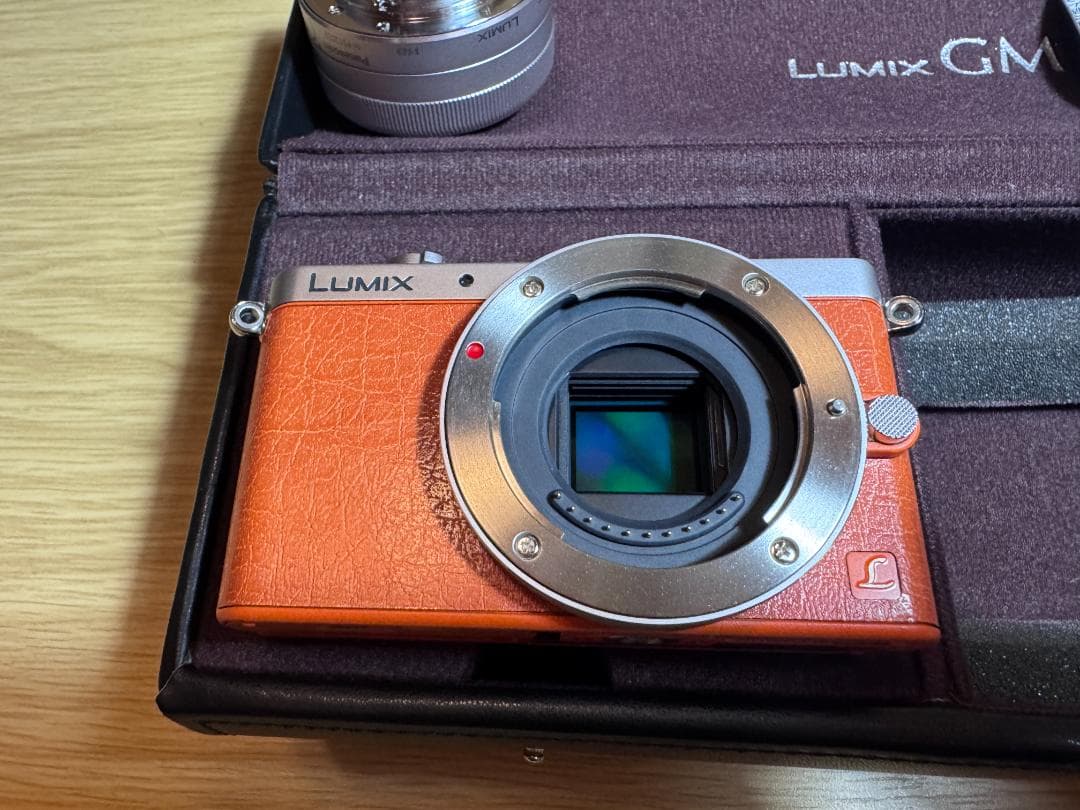 【ショット数 388】LUMIX DMC-GM1 オレンジ