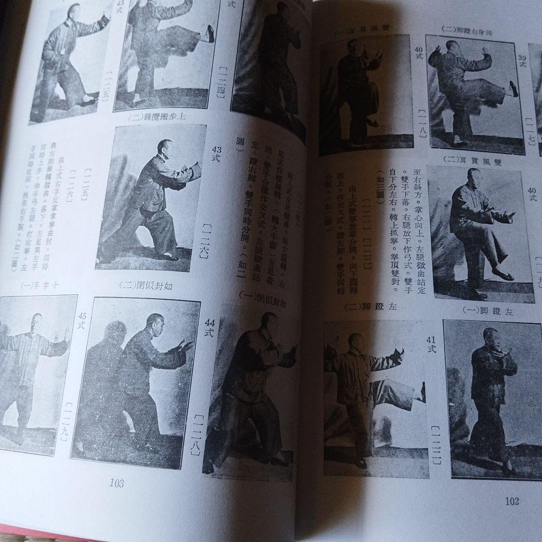 太極拳釋義　董英傑