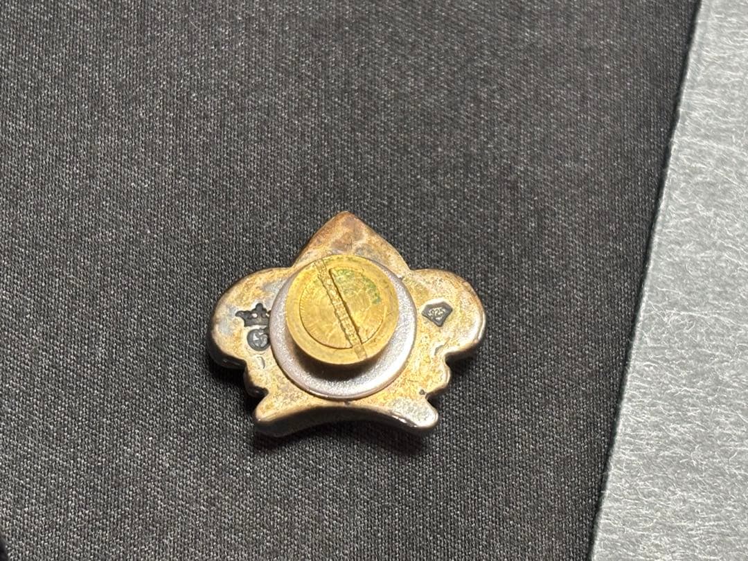 ガボラトリー　クラウン　ピンズ　ホールディングス製